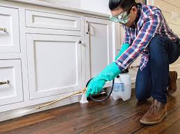 Best Pest Prevention Services  in Bradfordville, FL